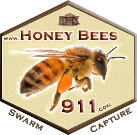 HoneyBees911 Logo
