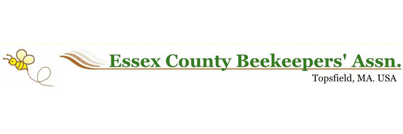 Bee Club Logo