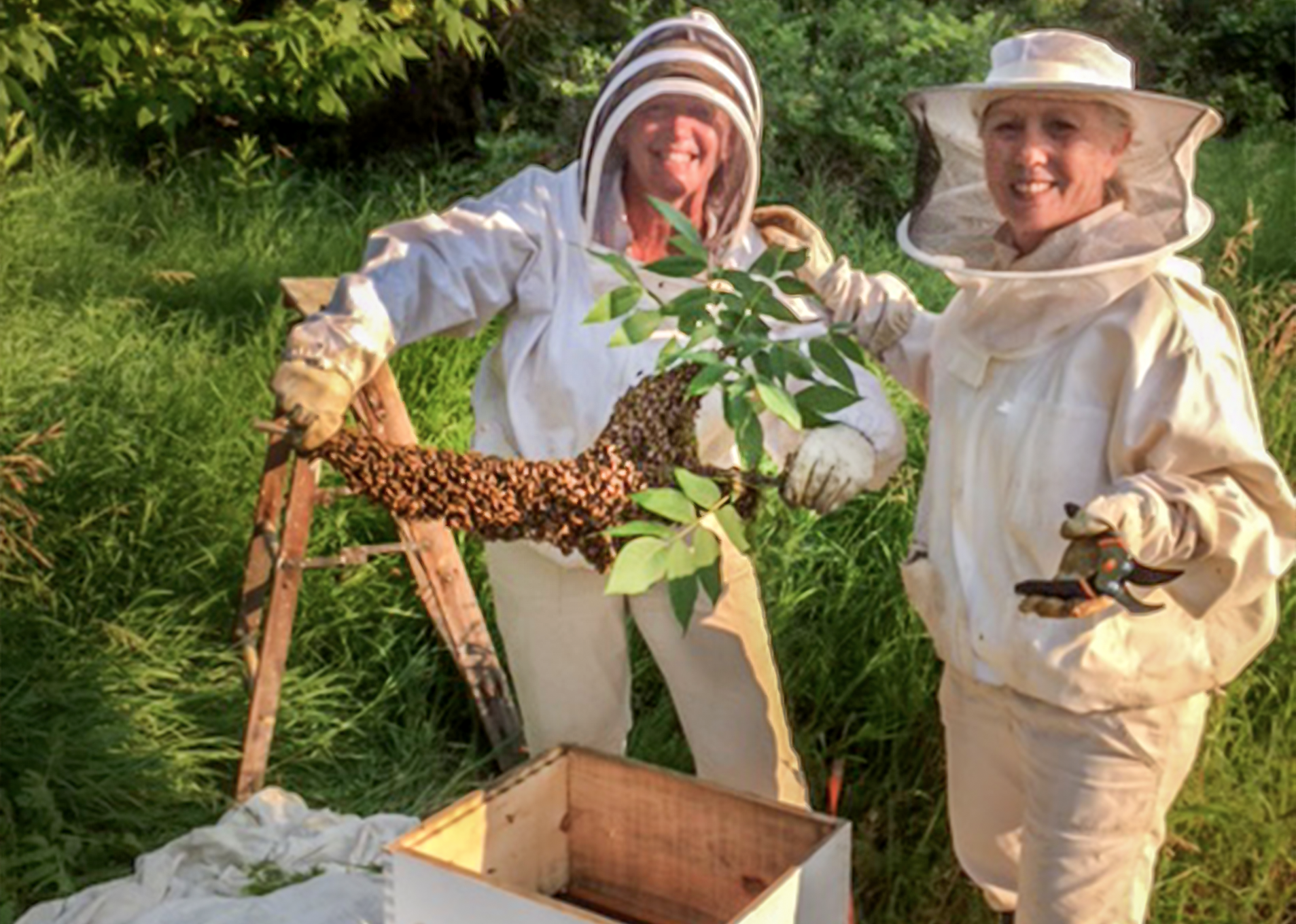 Beekeepers and swarm